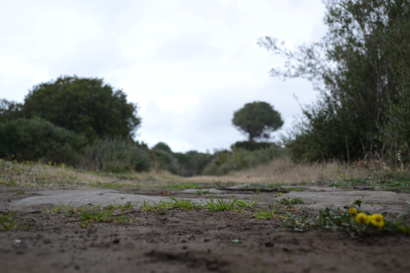 Ostia, citt mafiosa o citt di bellezze culturali?